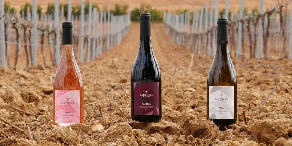 Partners and Grapes expands into the Charlotte Metro area and wins Gold at the 2023 Sommelier Choice Awards with their Red Blend. Celebrating healthier, 100% organic wines.